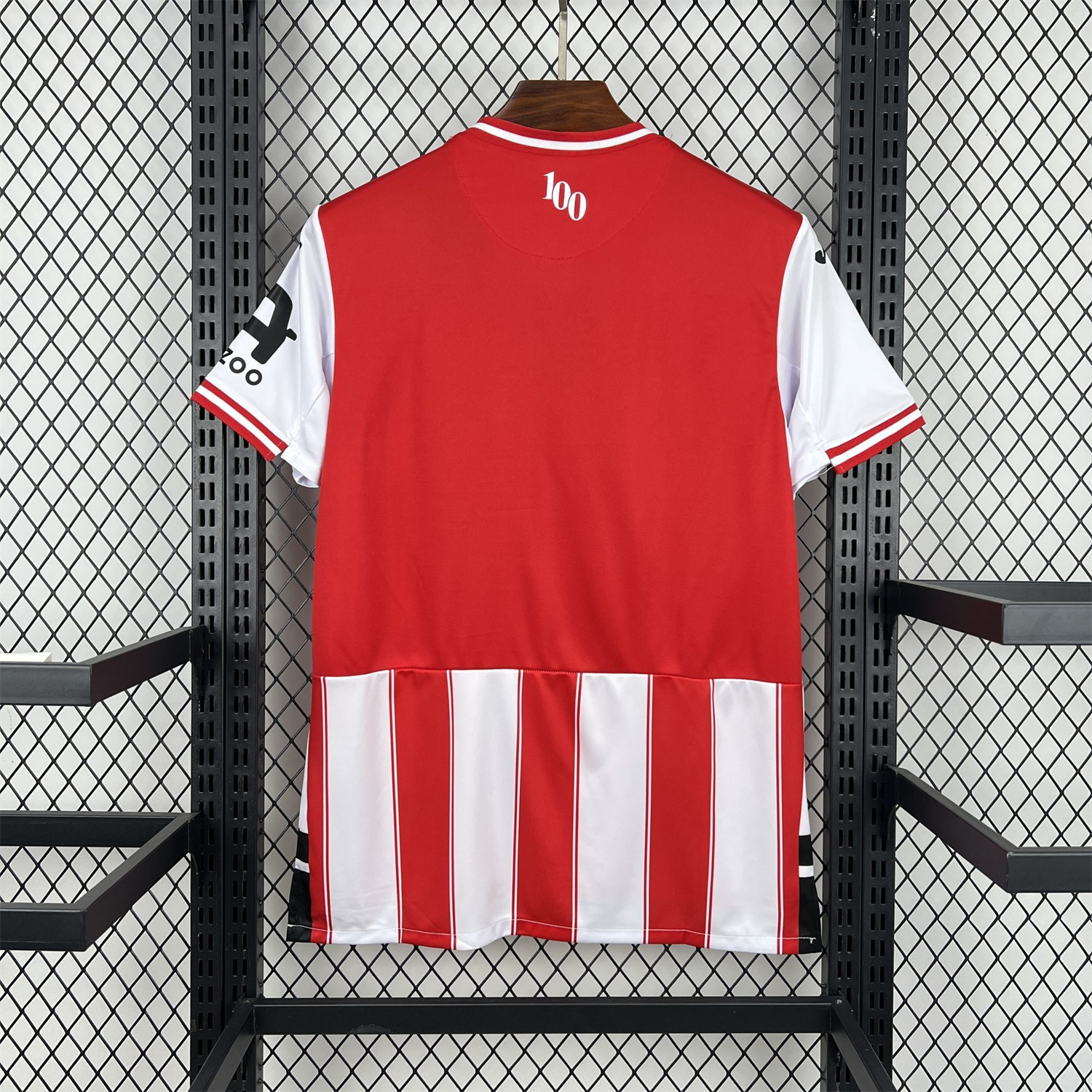 AlphaJersey-Brentford 25-26 Home Jersey - Fans Version