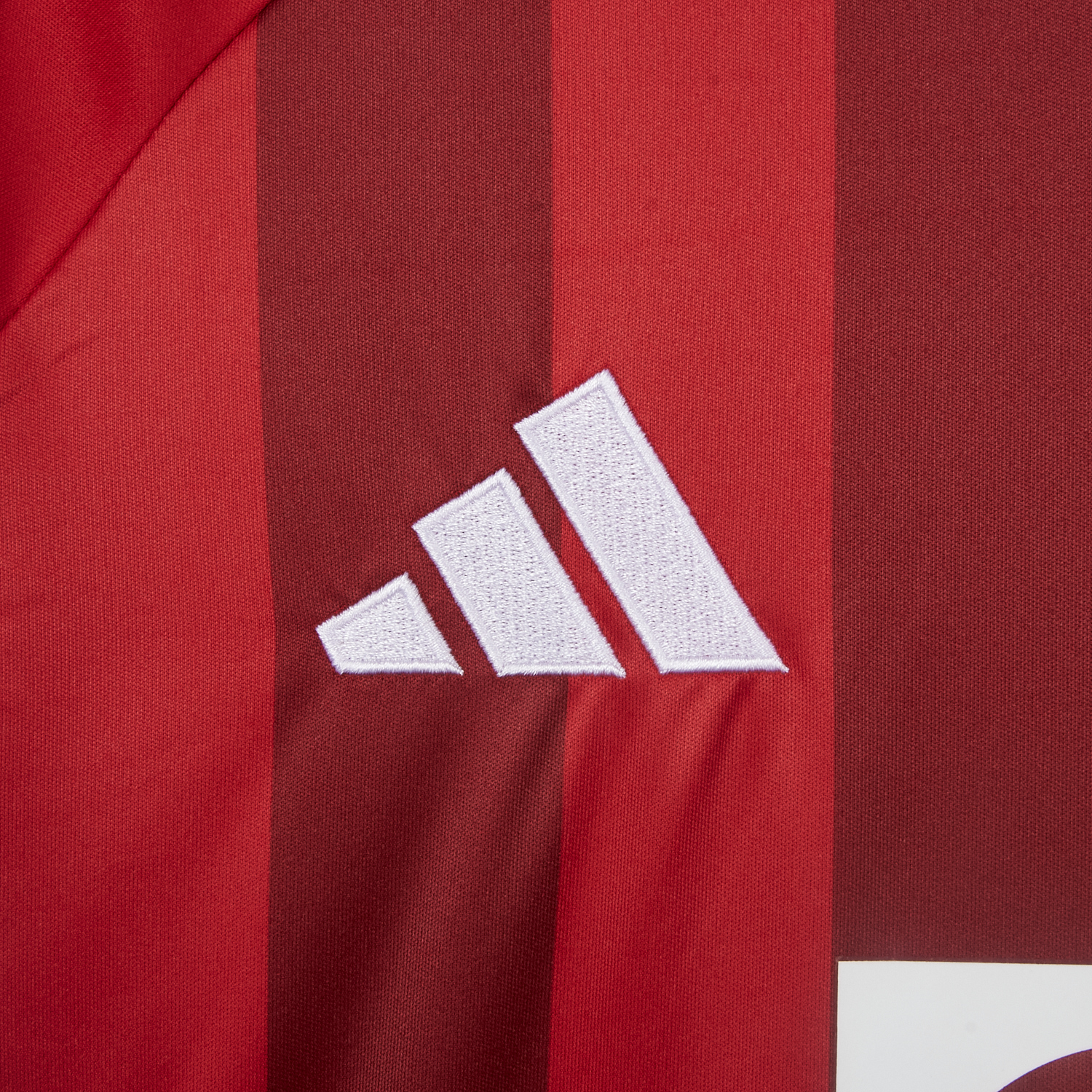 AlphaJersey-Bayern Munich 25-26 Victory Commemorative Special Jersey - Fans Version