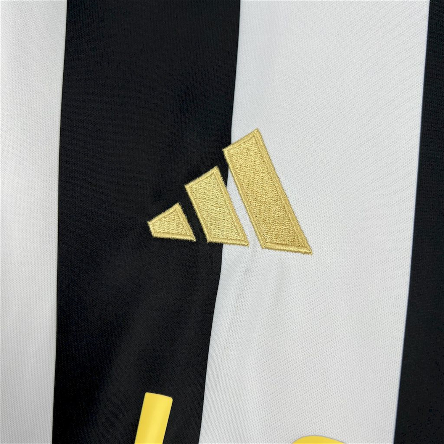 AlphaJersey-Pio FC 2025 Home Jersey - Fans Version