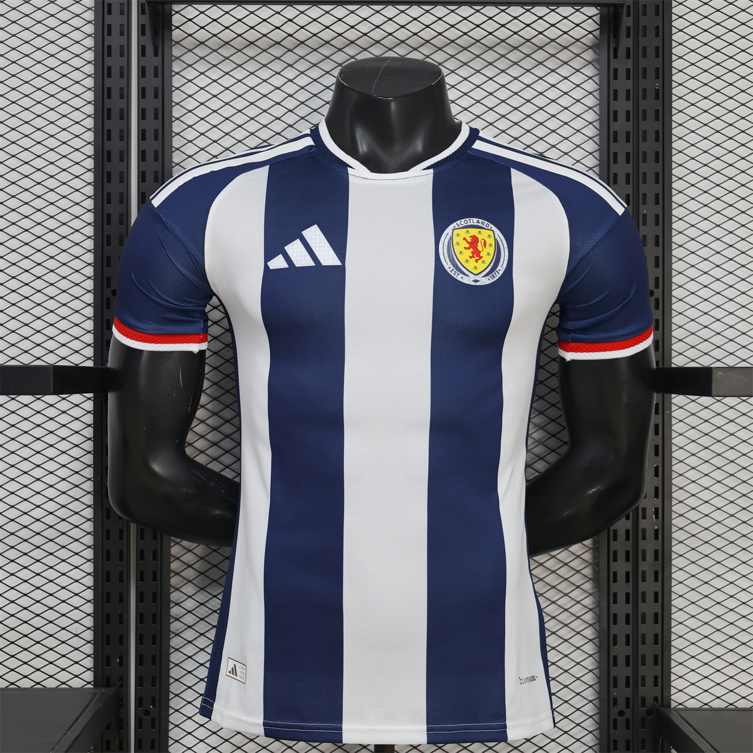 AlphaJersey-Wales 2026 Blue And White Special Jersey - Player Version