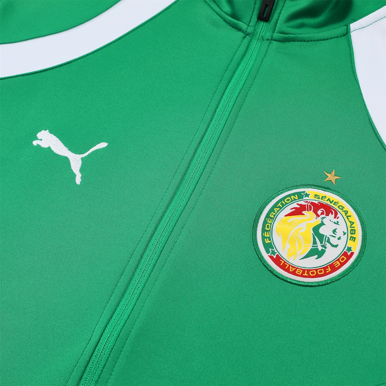 AlphaJersey-Senegal 2026 Jacket Training Tracksuit - Green Jackets & Green Pants