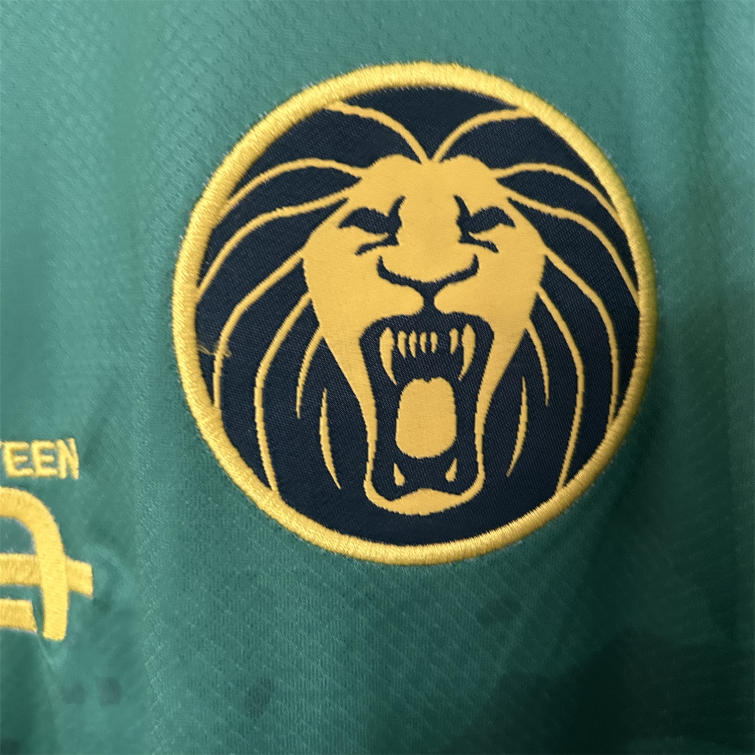 AlphaJersey-Cameroon 25-26 Home Jersey - Fans Version
