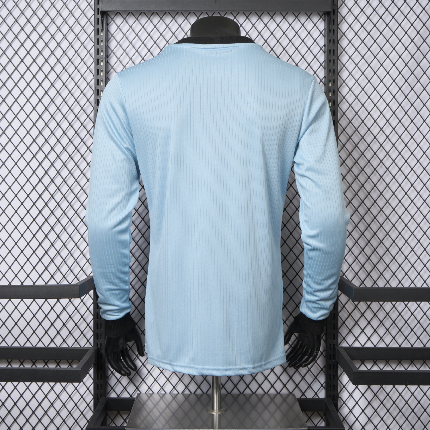 AlphaJersey-Germany 2025 125-Year Anniversary GK Blue Long Sleeve Jersey - Player Version