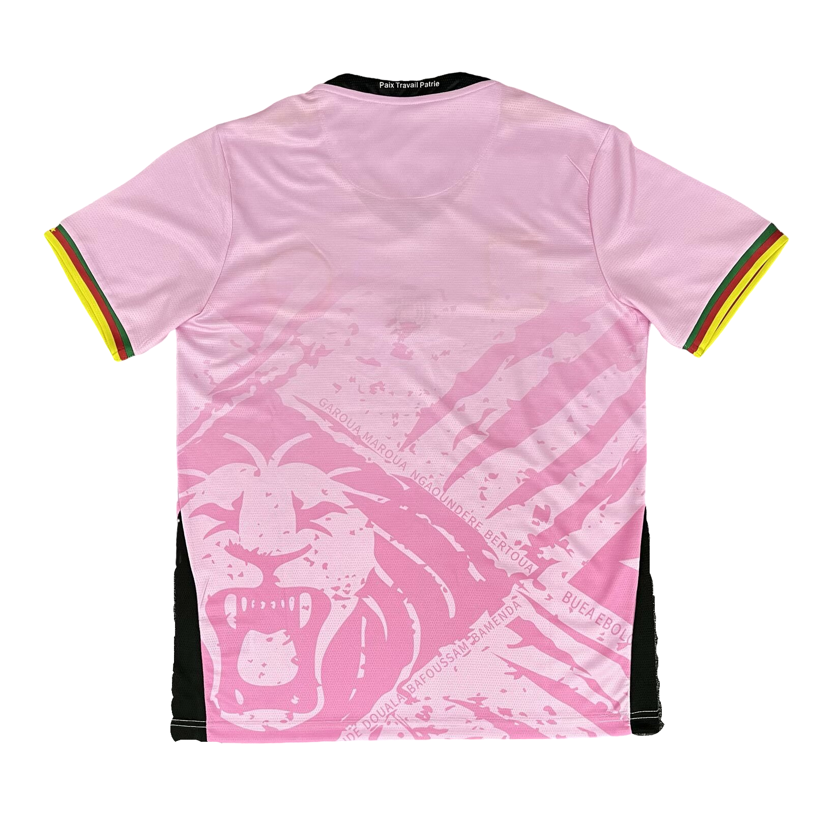 AlphaJersey-Cameroon 25-26 Pink Training Jersey - Fans Version