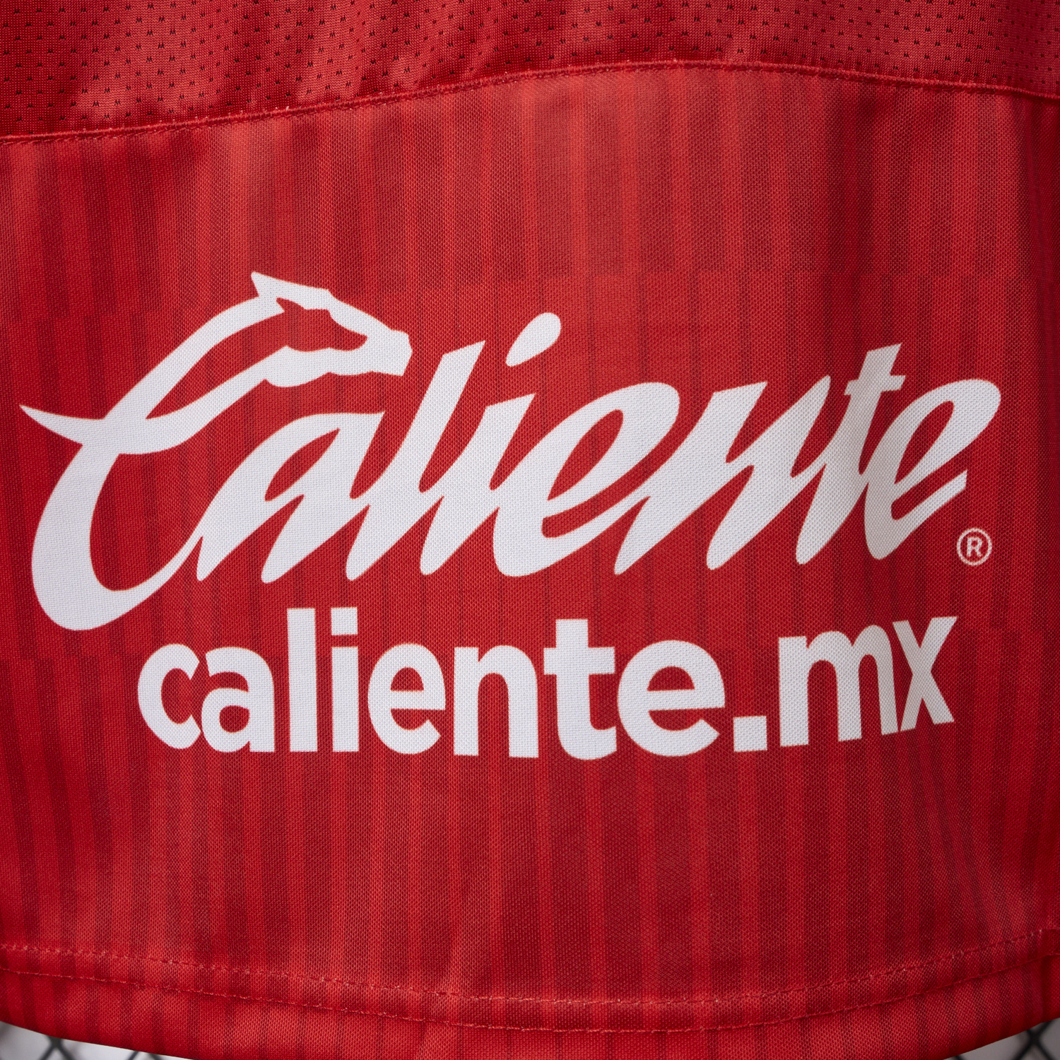 AlphaJersey-Toluca 25-26 Home Long Sleeves Jersey - Player Version