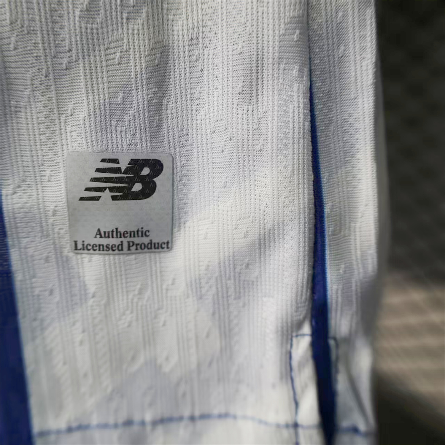 AlphaJersey-Porto 25-26 Home Jersey - Player Version