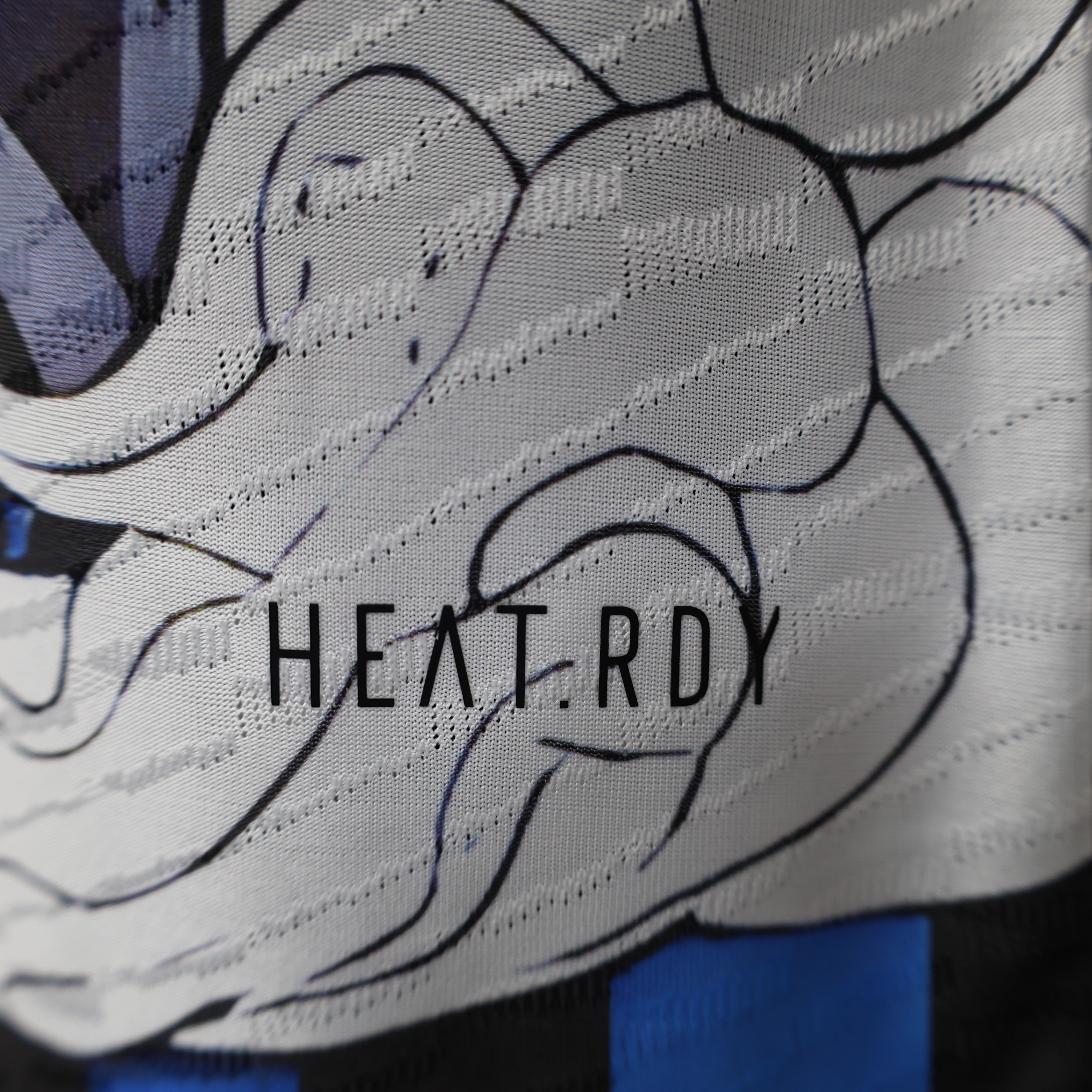 AlphaJersey-Japan 2024 Samurai & Dragon Special Edition Jersey - Player Version