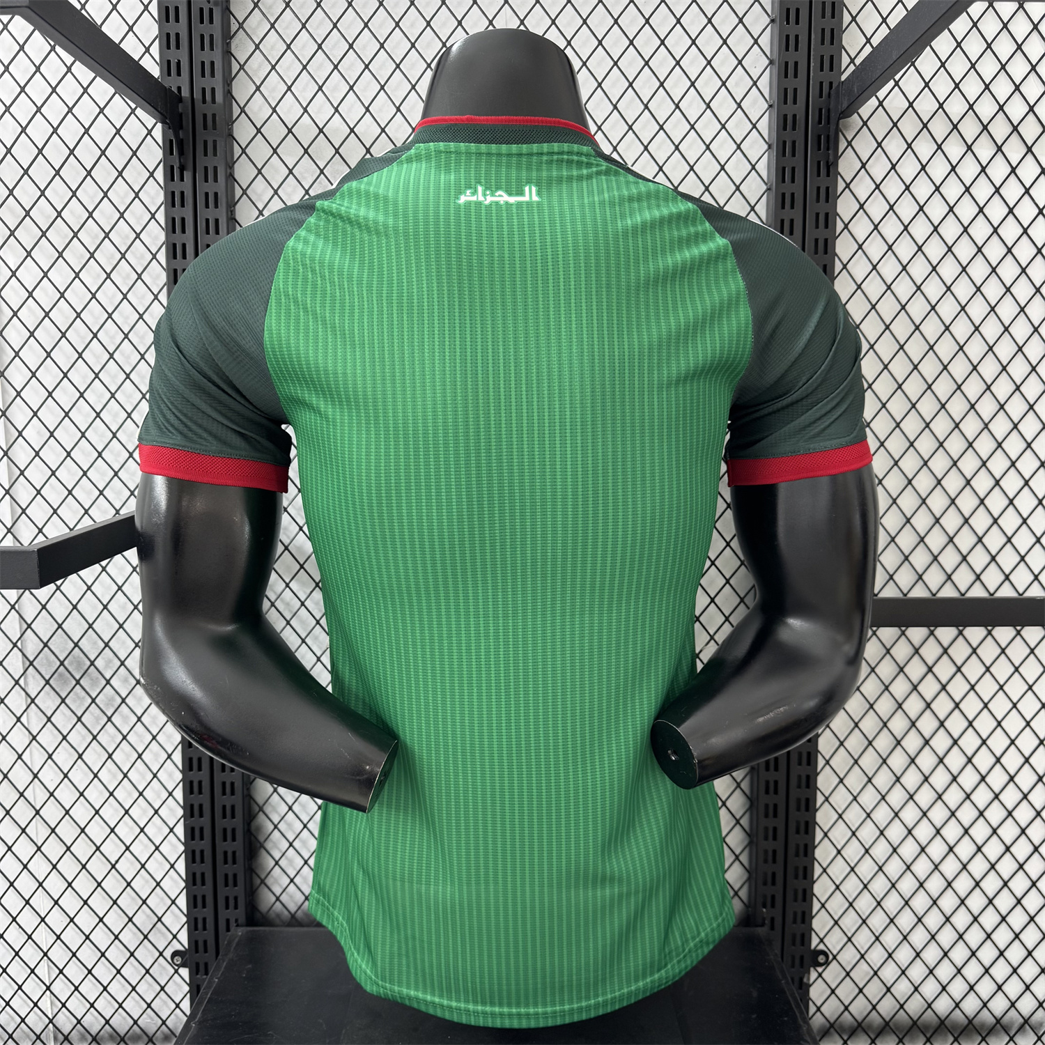 AlphaJersey-Algeria 2026 Away Green Jersey - Player Version