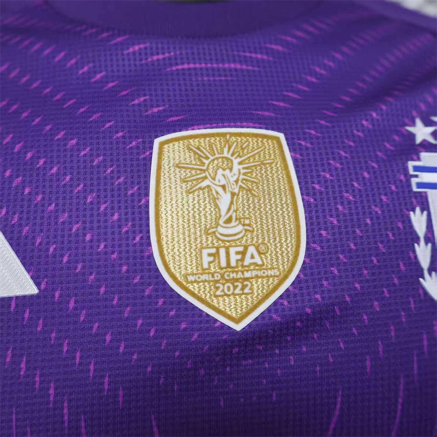 AlphaJersey-Argentina 25-26 Purple Goalkeeper Jersey - Player Version
