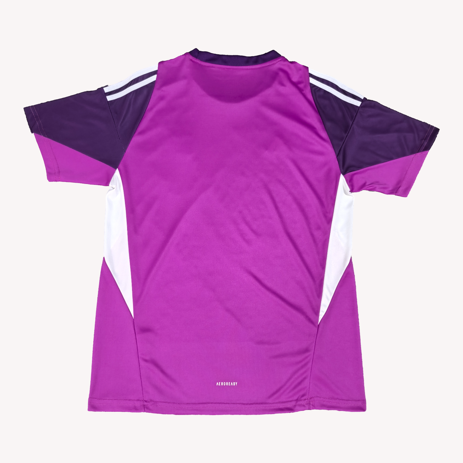 AlphaJersey-Algeria 25-26 Purple Goalkeeper Jersey - Fans Version