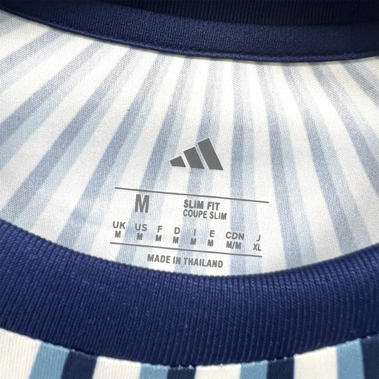 AlphaJersey-Argentina 2026 Blue Rays Pre-Match Training Kit - Fans Version