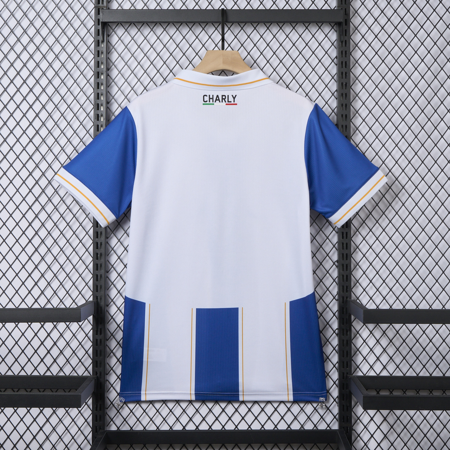 AlphaJersey-Pachuca 25-26 Home Jersey - Fans Version