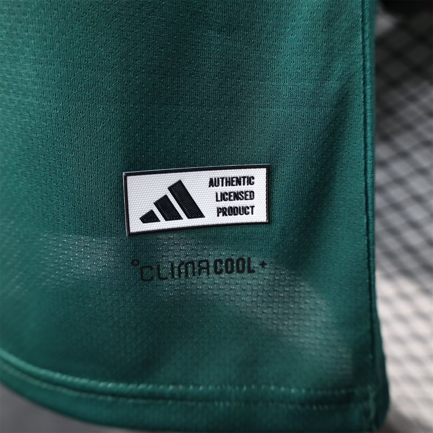 AlphaJersey-Saudi Arabia 2026 Shoulder Stripes Special Jersey - Player Version