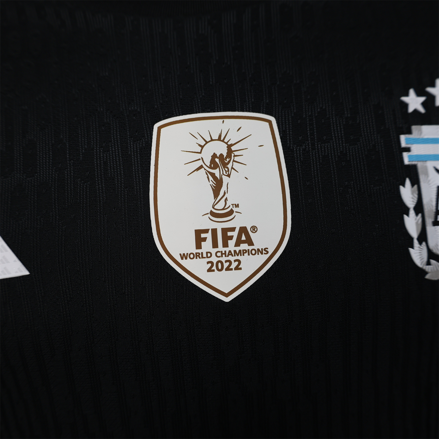 AlphaJersey-Argentina 2026 Black Pre-Match Training Jersey - Player Version