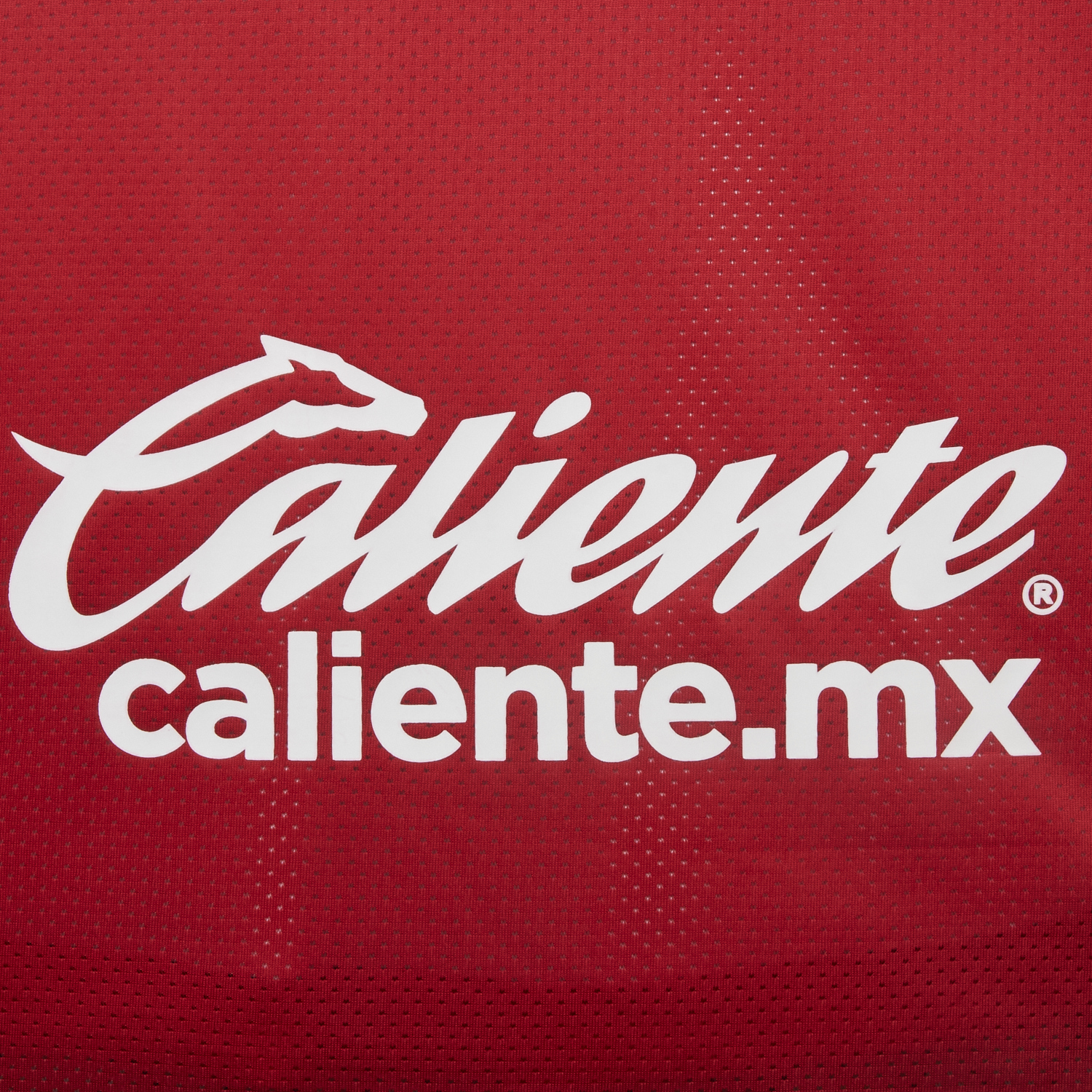 AlphaJersey-Toluca 25-26 Red Special Jersey - Fans Version