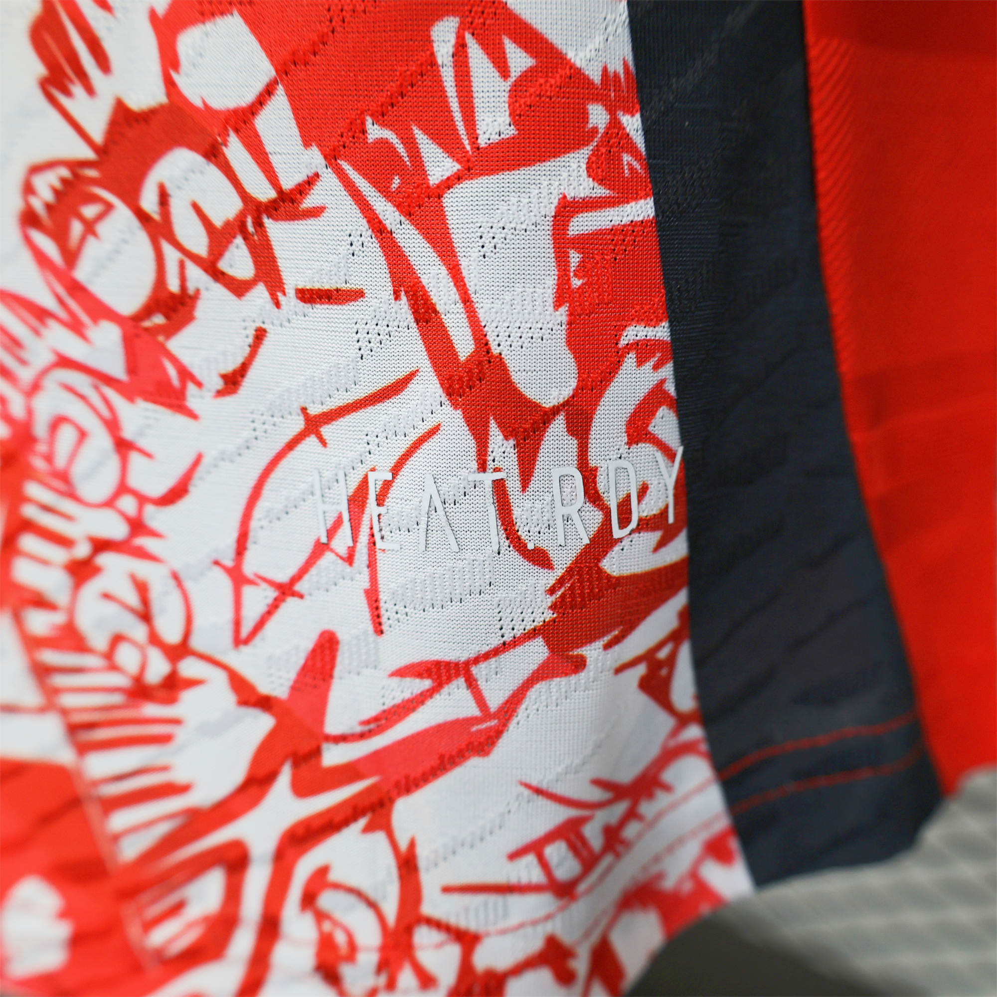 AlphaJersey-Japan 2024 Bejita Red Special Edition Jersey - Player Version