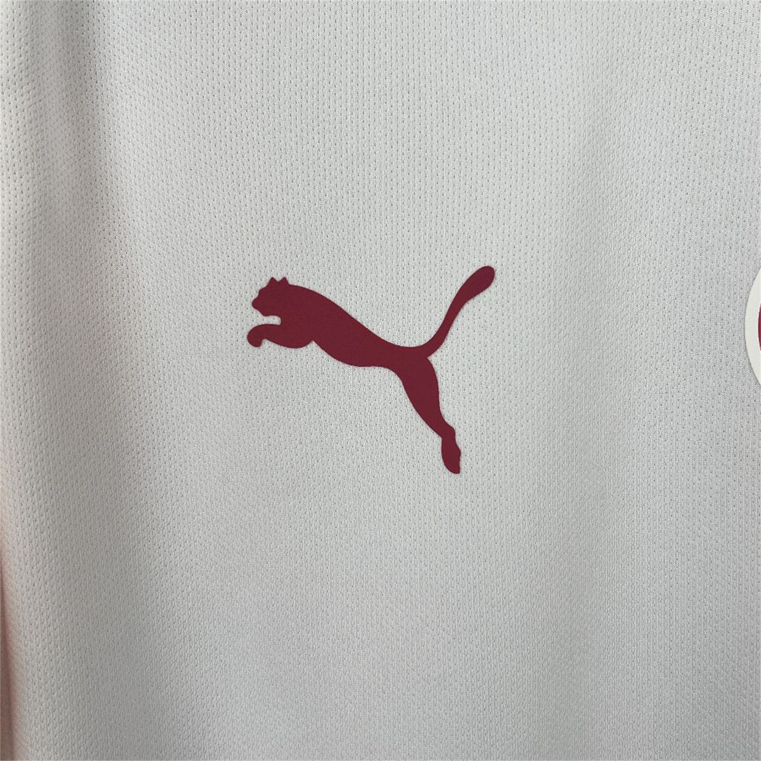 AlphaJersey-Galatasaray 25-26 Away Unsponsored Jersey with Five Stars - Fans Version