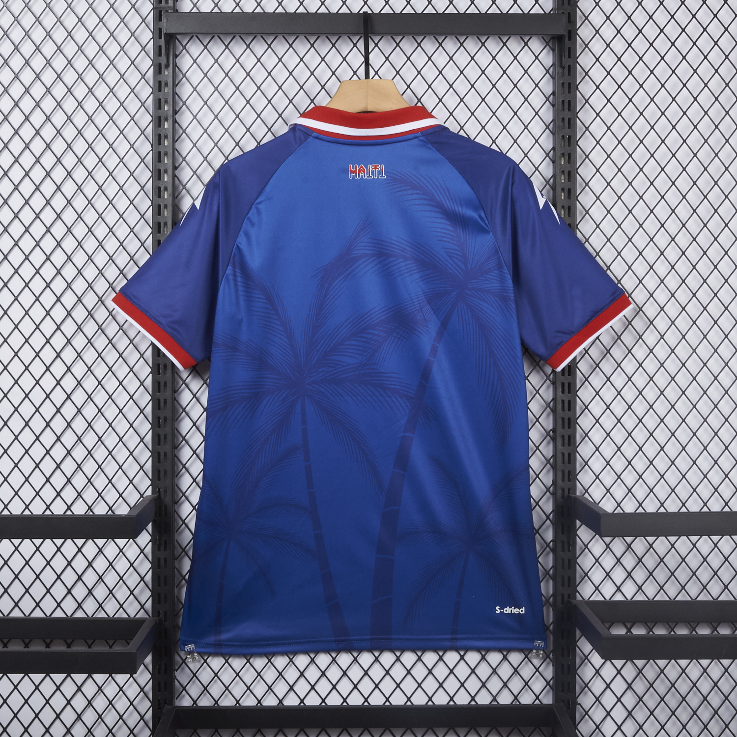 AlphaJersey-Haiti 26-27 Home Jersey - Fans Version