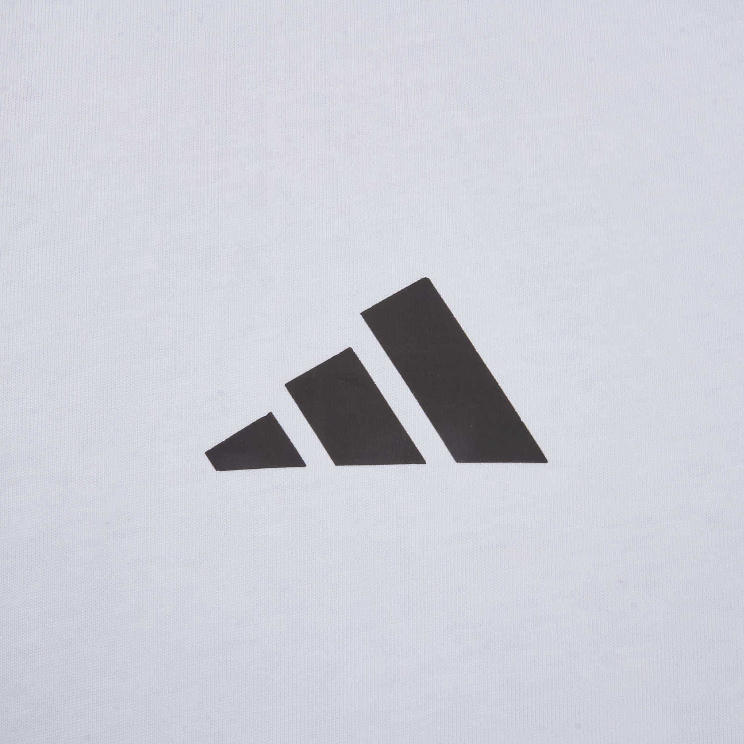 AlphaJersey-Bayern Munich 25-26 “35. Deutscher Meister” Championship Commemorative White T-shirt