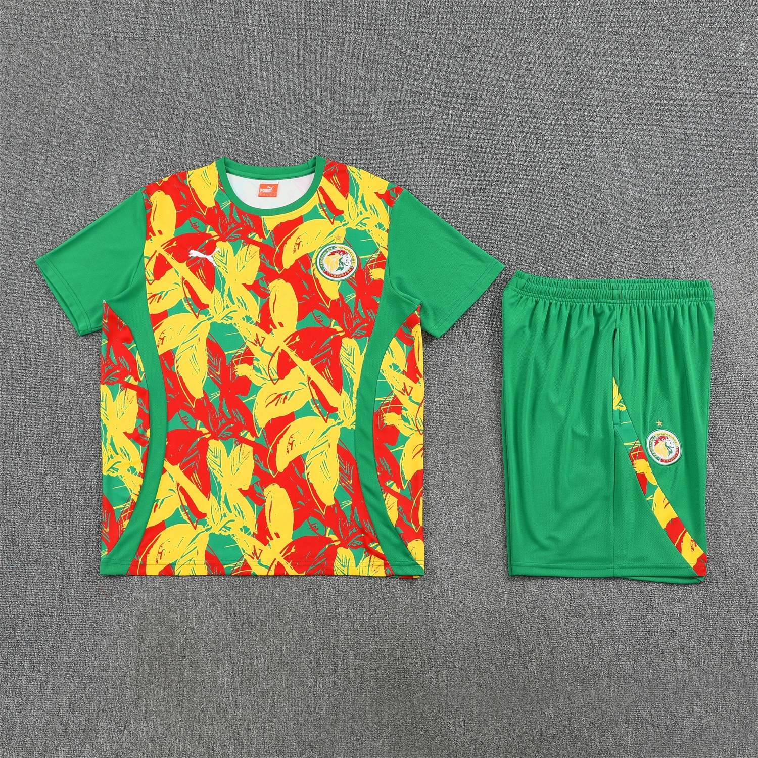 AlphaJersey-Senegal 2026 Short-Sleeve Training Set - Variegated Top and Green Shorts
