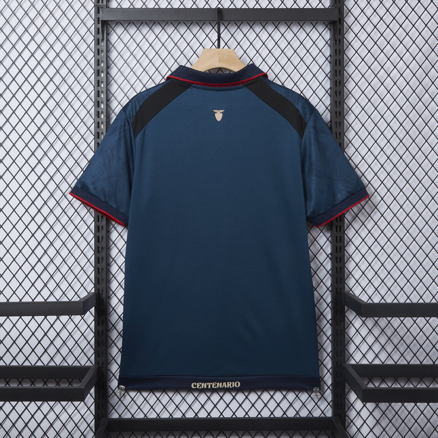 AlphaJersey-Ecuador 2025 Centenary Away Jersey - Fans Version