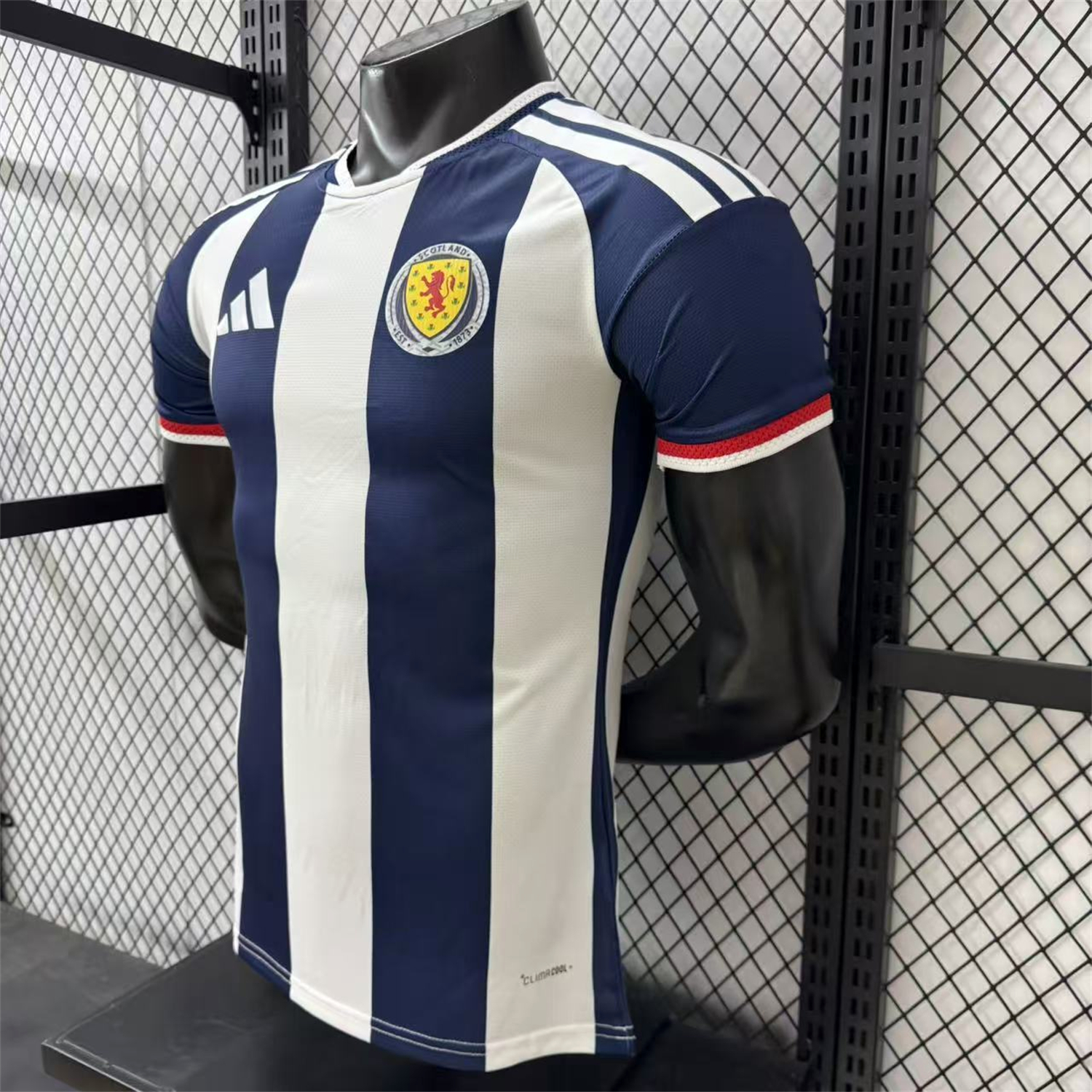 AlphaJersey-S-c-o.t l.a-n.d 2026 Blue And White Special Jersey - Player Version