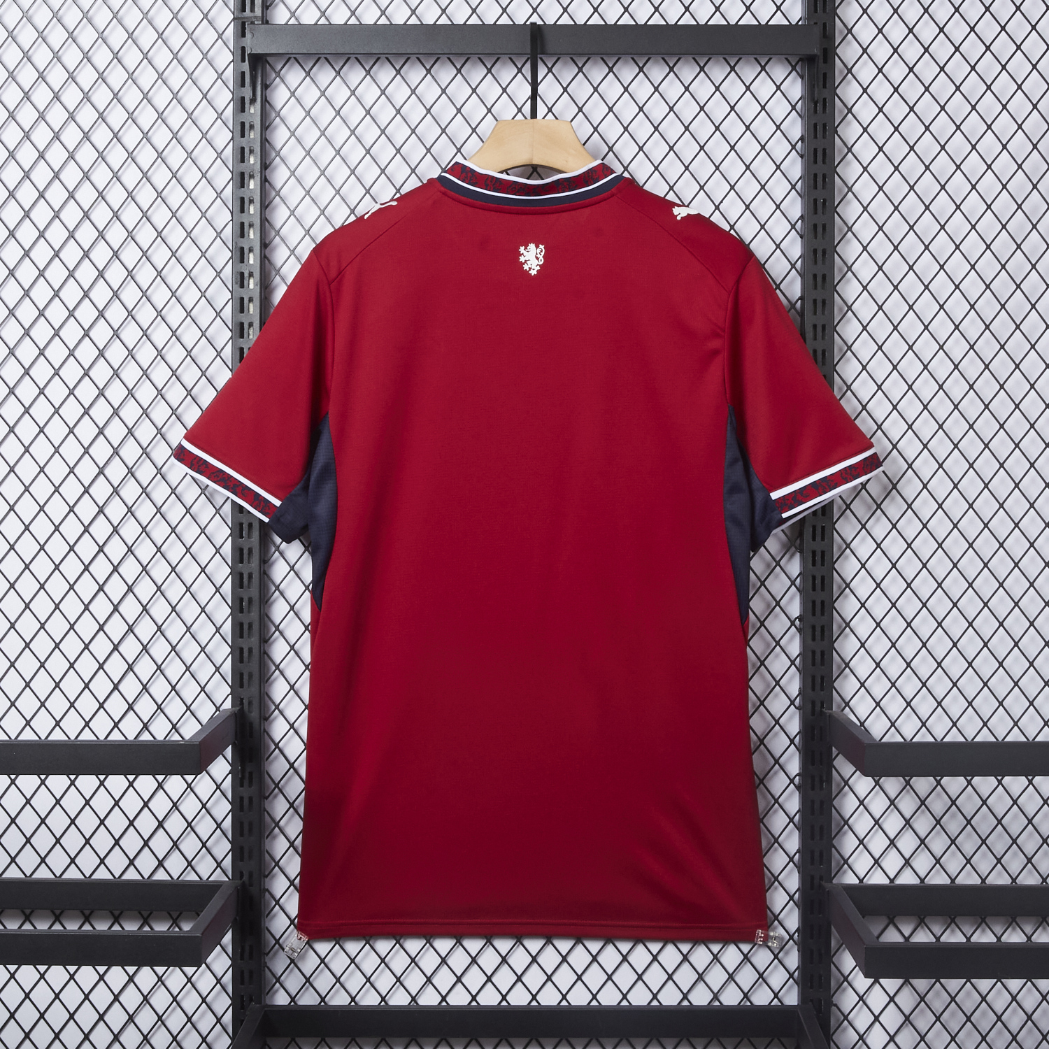 AlphaJersey-Czech Republic 2026 Home Jersey - Fans Version