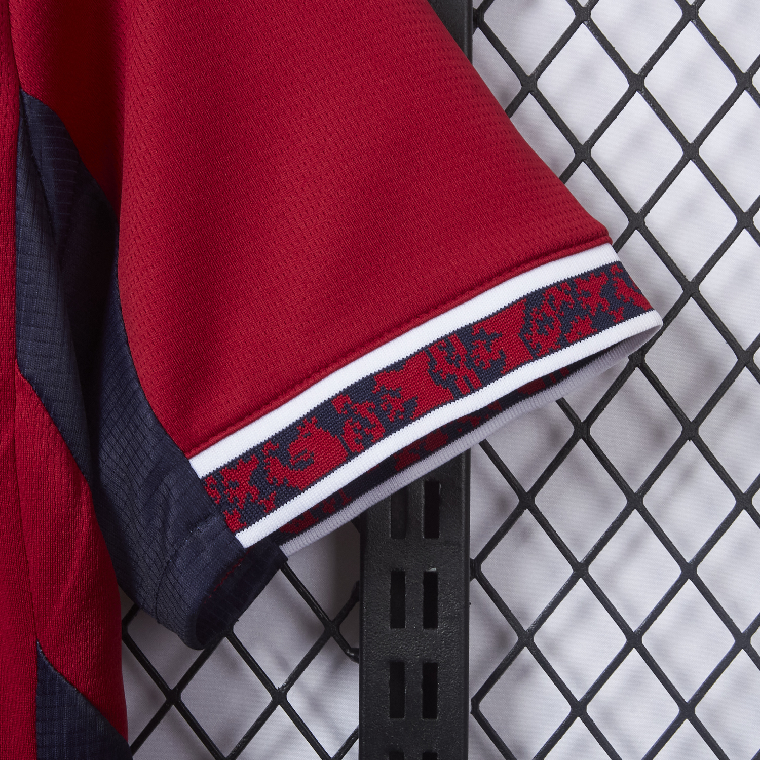 AlphaJersey-Czech Republic 2026 Home Jersey - Fans Version