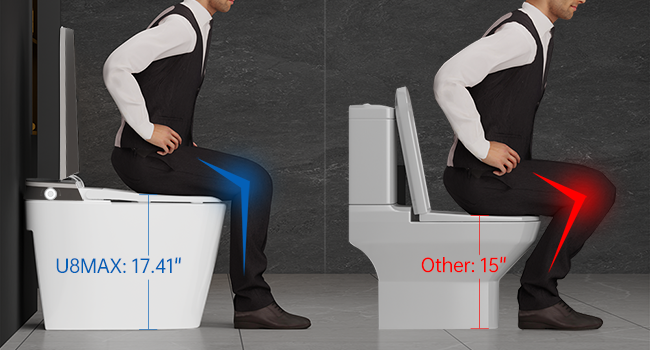 ADA CHAIR HEIGHT TOILET