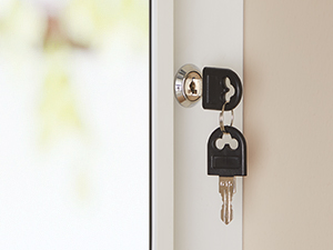 Lockable Door