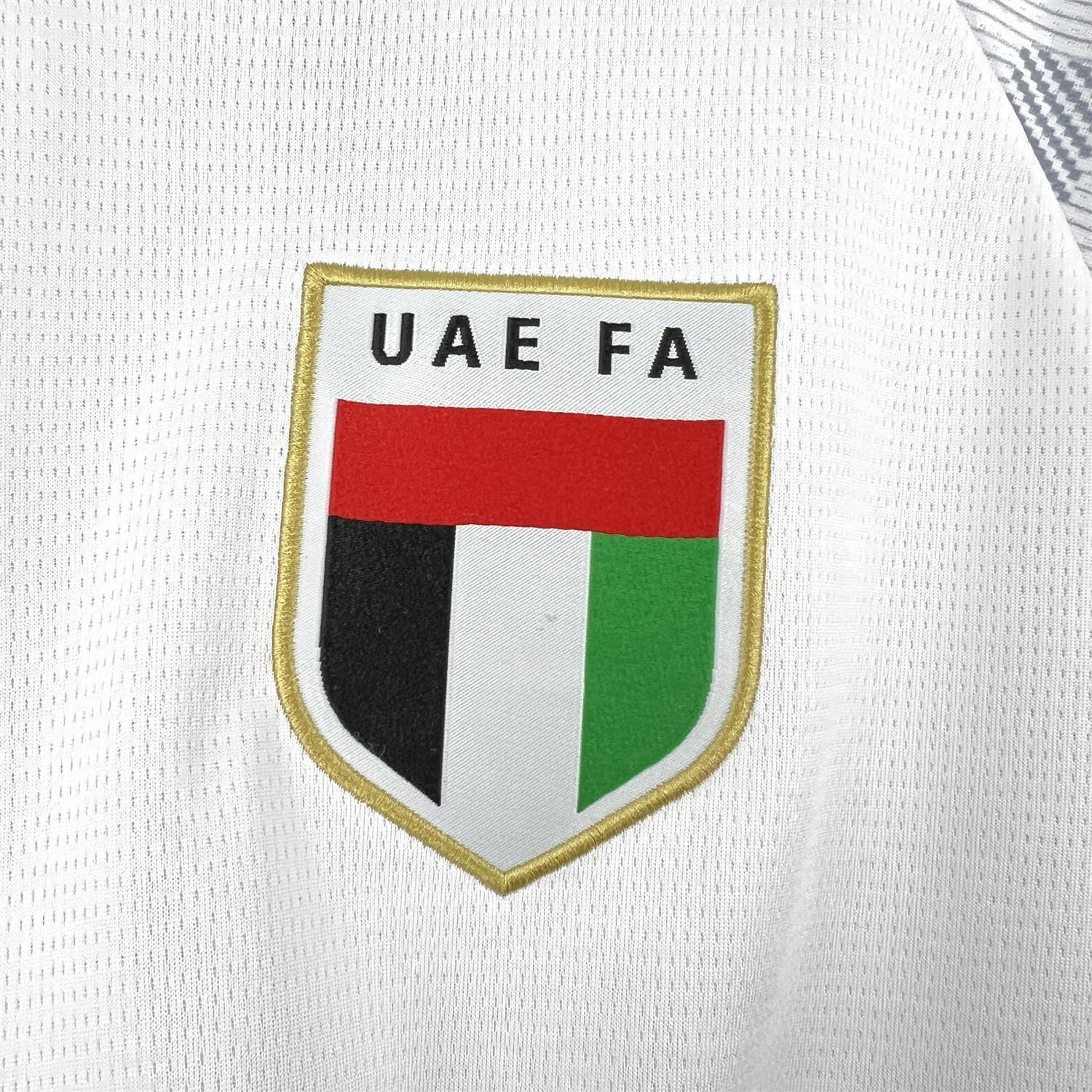 AlphaJersey-United Arab Emirates 2026 Home Jersey - Fans Version