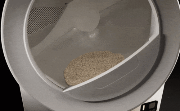 LRE_cycle.gif (580×360)