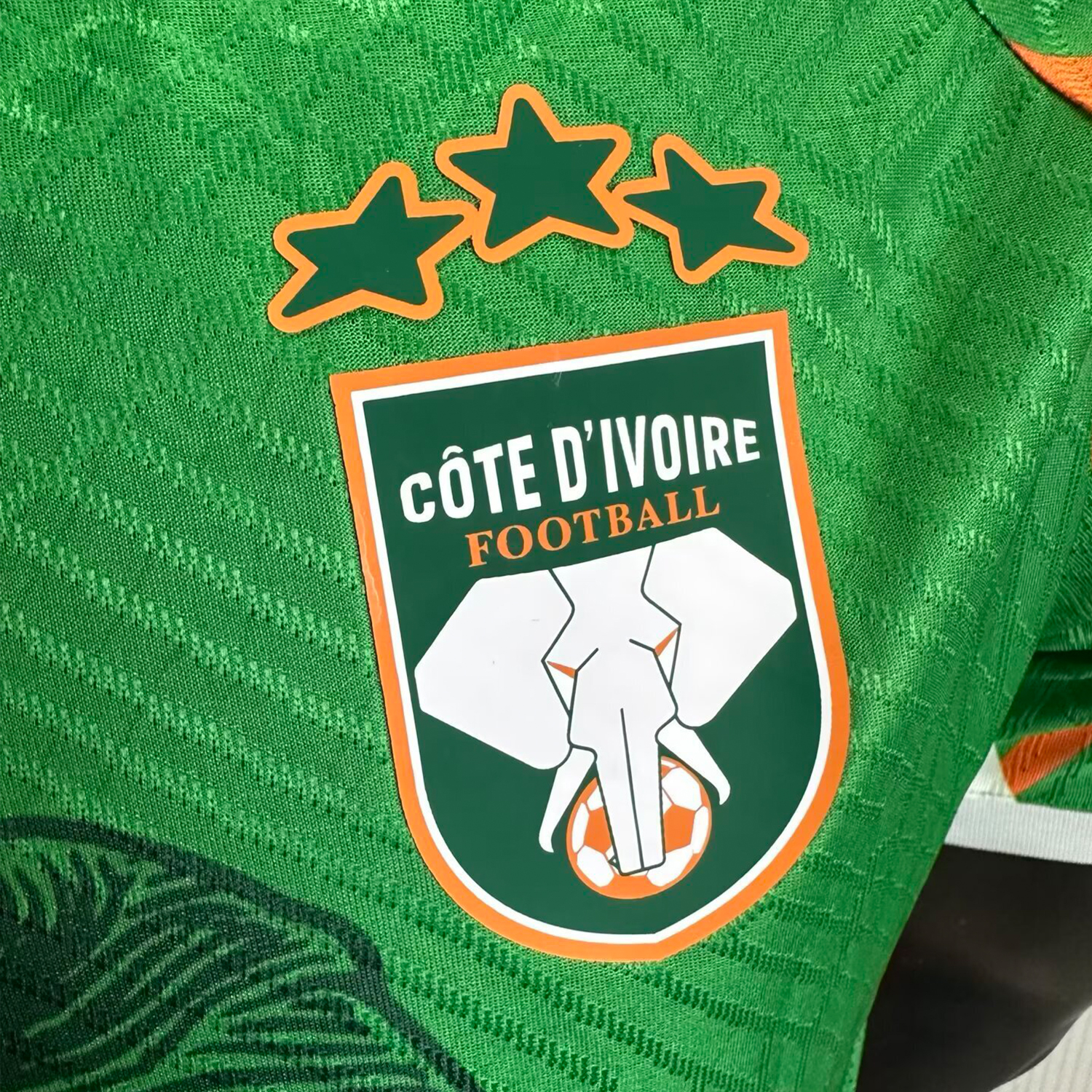 AlphaJersey-Ivory Coast 25-26 Elephant And Kid Green Jersey - Player Version