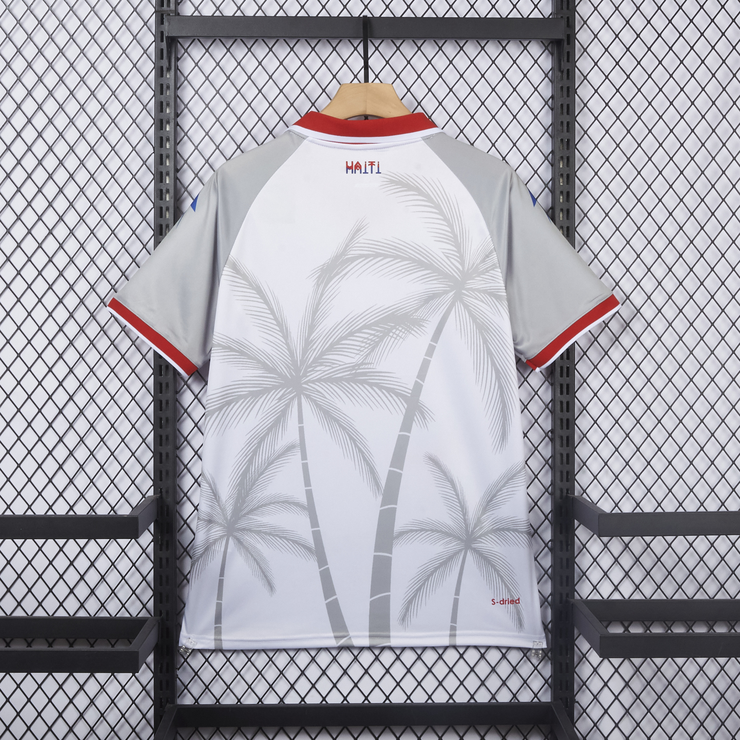 AlphaJersey-Haiti 26-27 Away Jersey - Fans Version