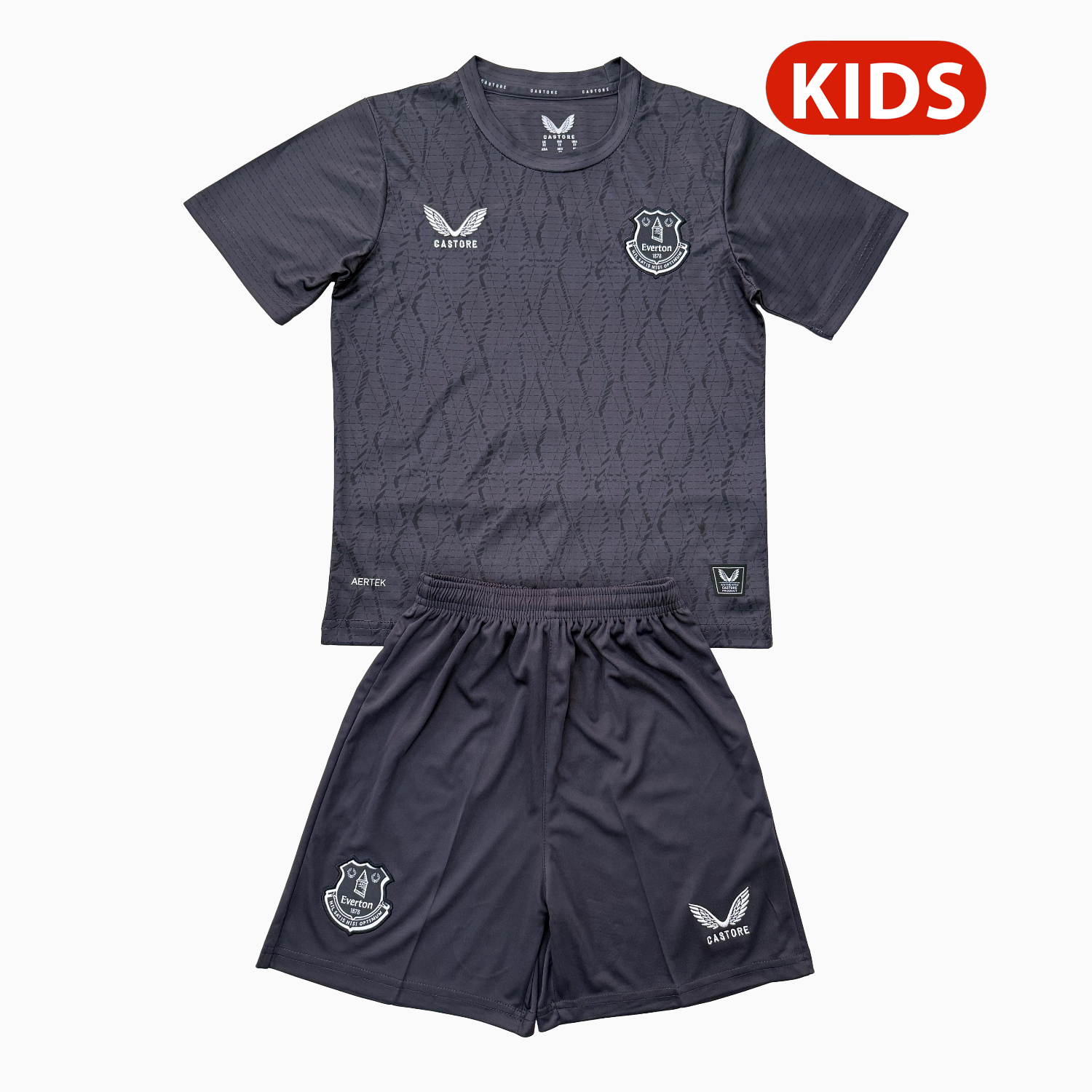 AlphaJersey-Everton 25-26 Gray Goalkeeper Kids Kit