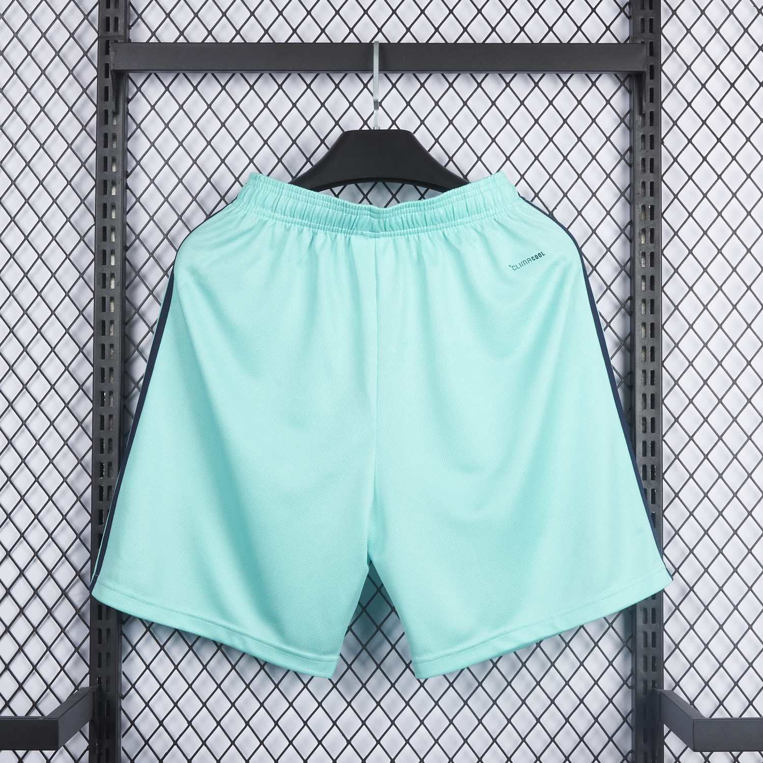 AlphaJersey-Germany 2026 Away Green Shorts - Fans Version