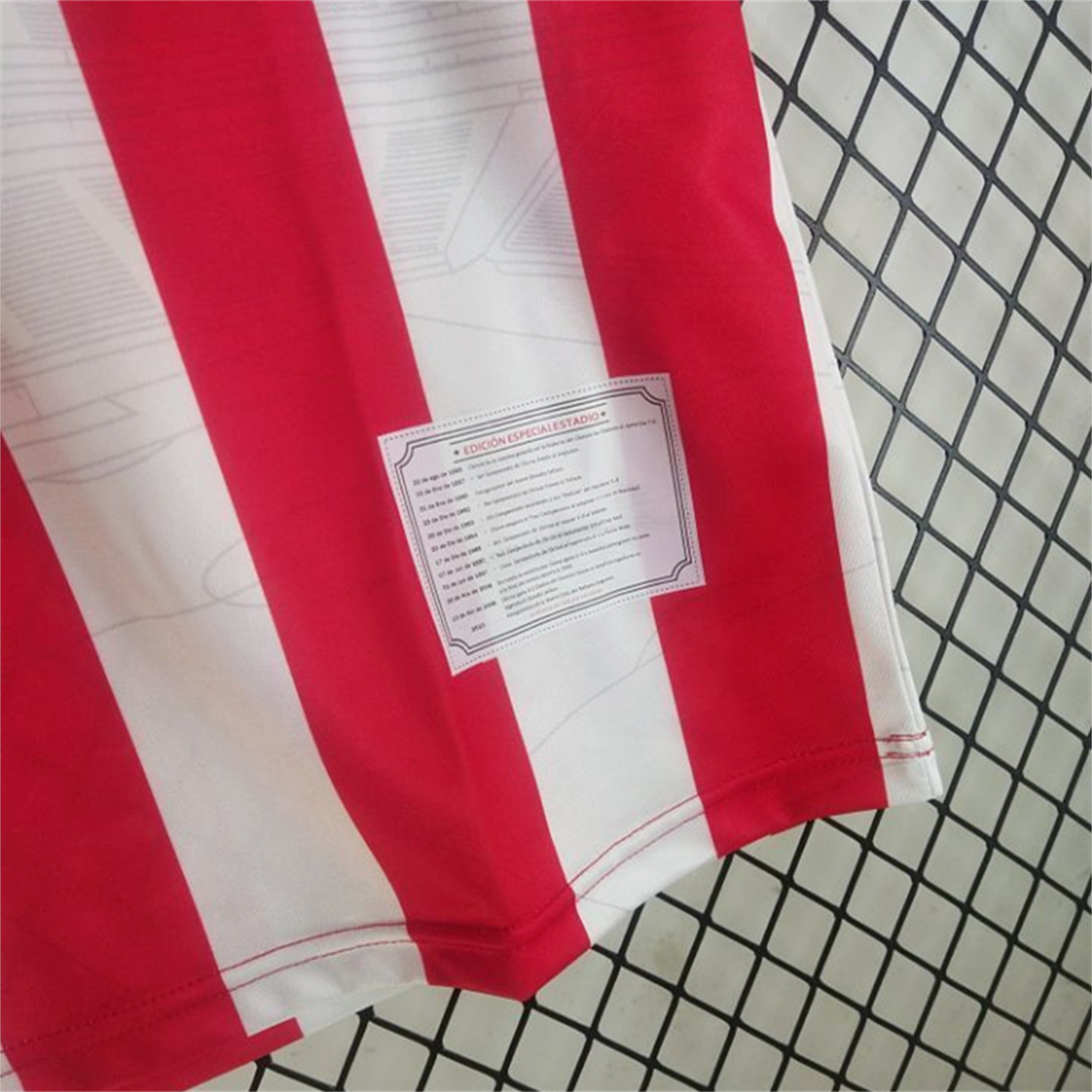 AlphaJersey-Retro Chivas de Guadalajara 2010-11 Home Jersey