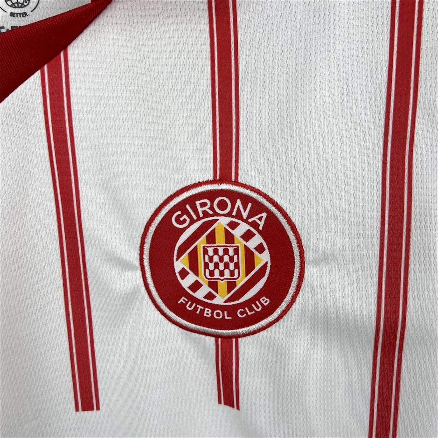 AlphaJersey-Girona 25-26 Home Jersey - Fans Version