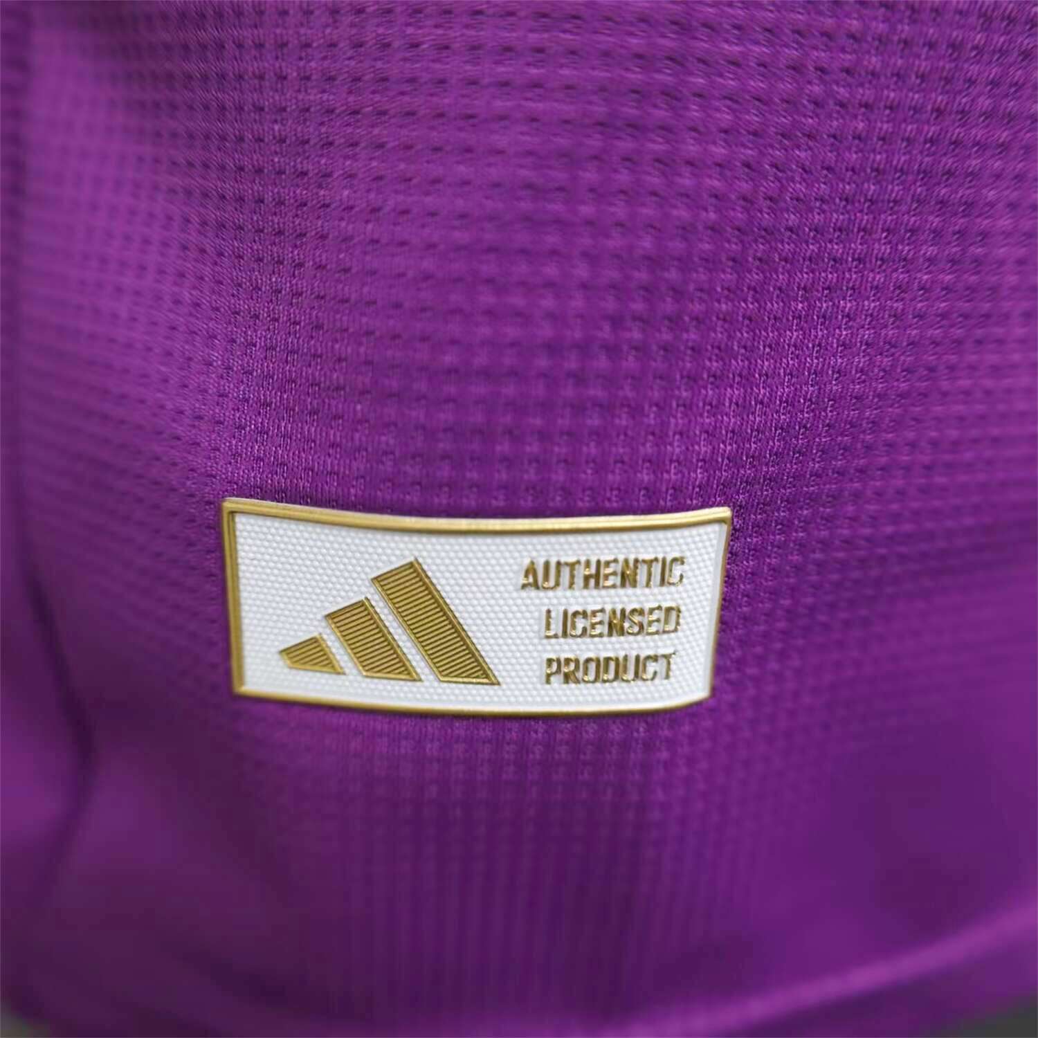 AlphaJersey-Argentina 25-26 Purple Goalkeeper Jersey - Player Version