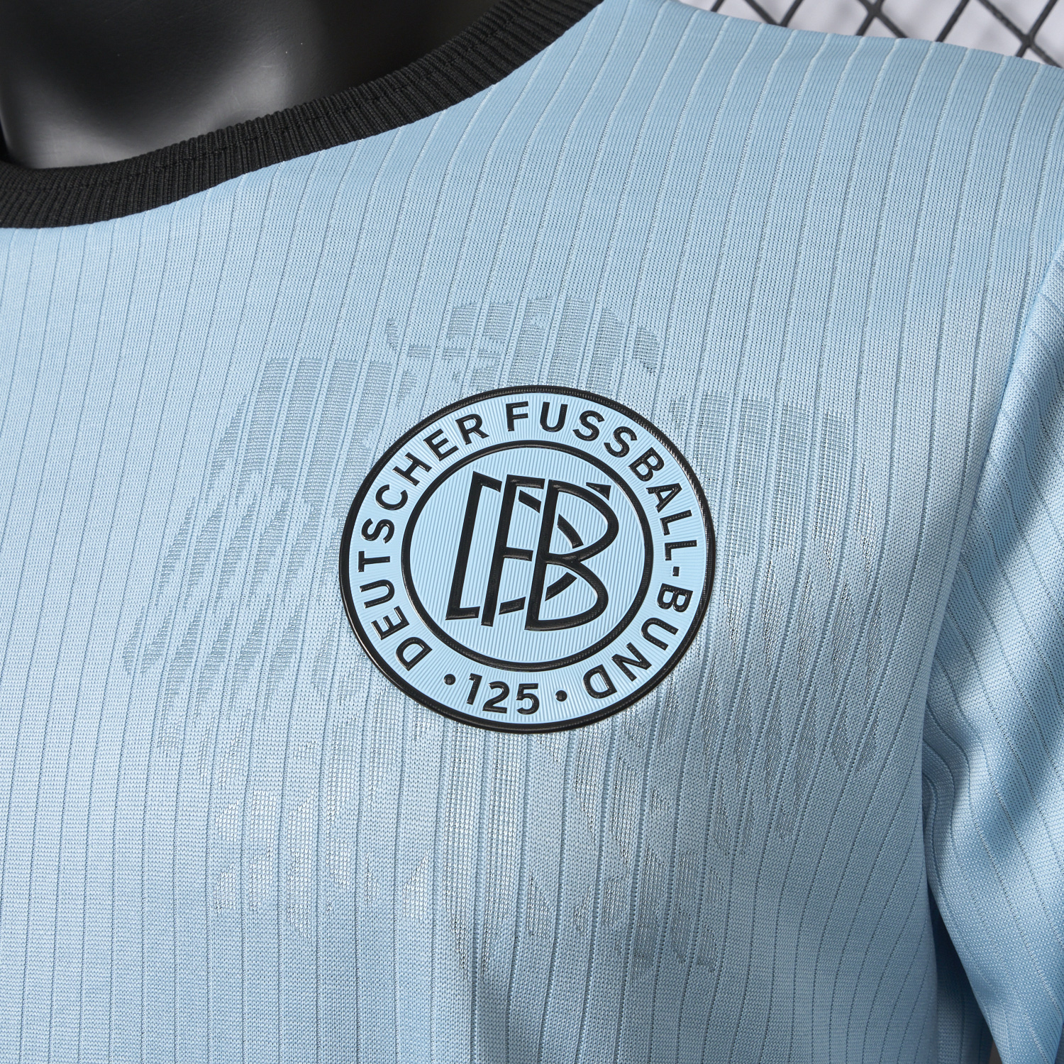 AlphaJersey-Germany 2025 125-Year Anniversary GK Blue Long Sleeve Jersey - Player Version