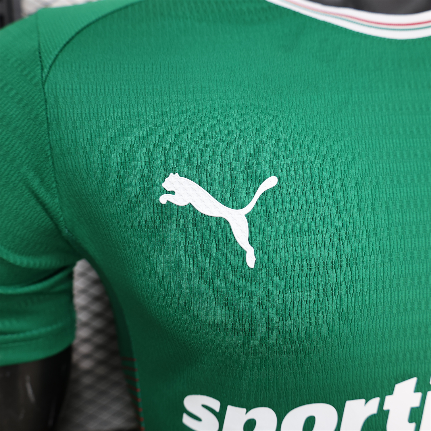 AlphaJersey-Palmeiras 26-27 Home Green Jersey - Player Version