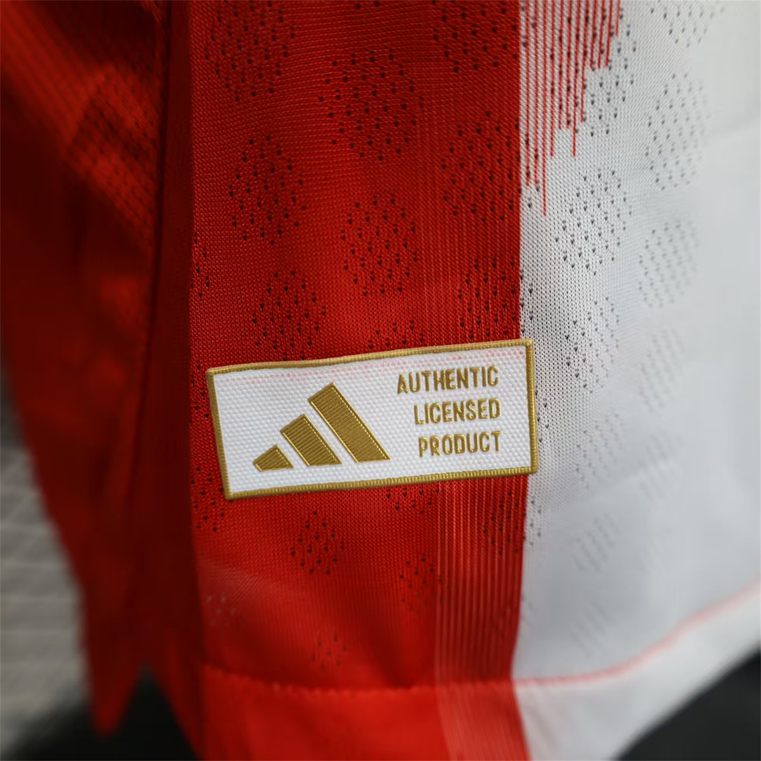 AlphaJersey-Bayern Munich 25-26 Home Long Sleeves Jersey - Player Version