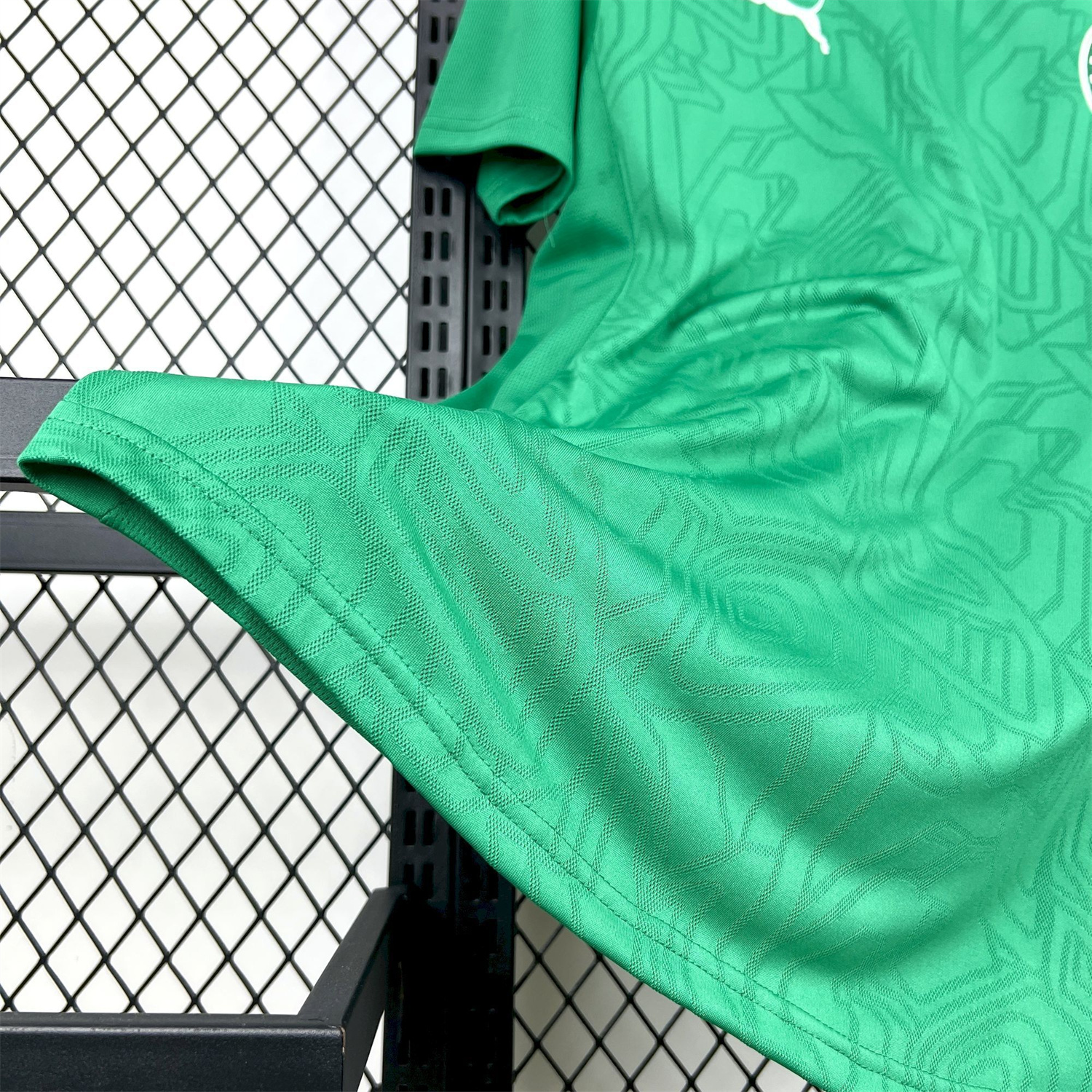 AlphaJersey-Palmeiras 25-26 Green Training Jersey - Fans Version