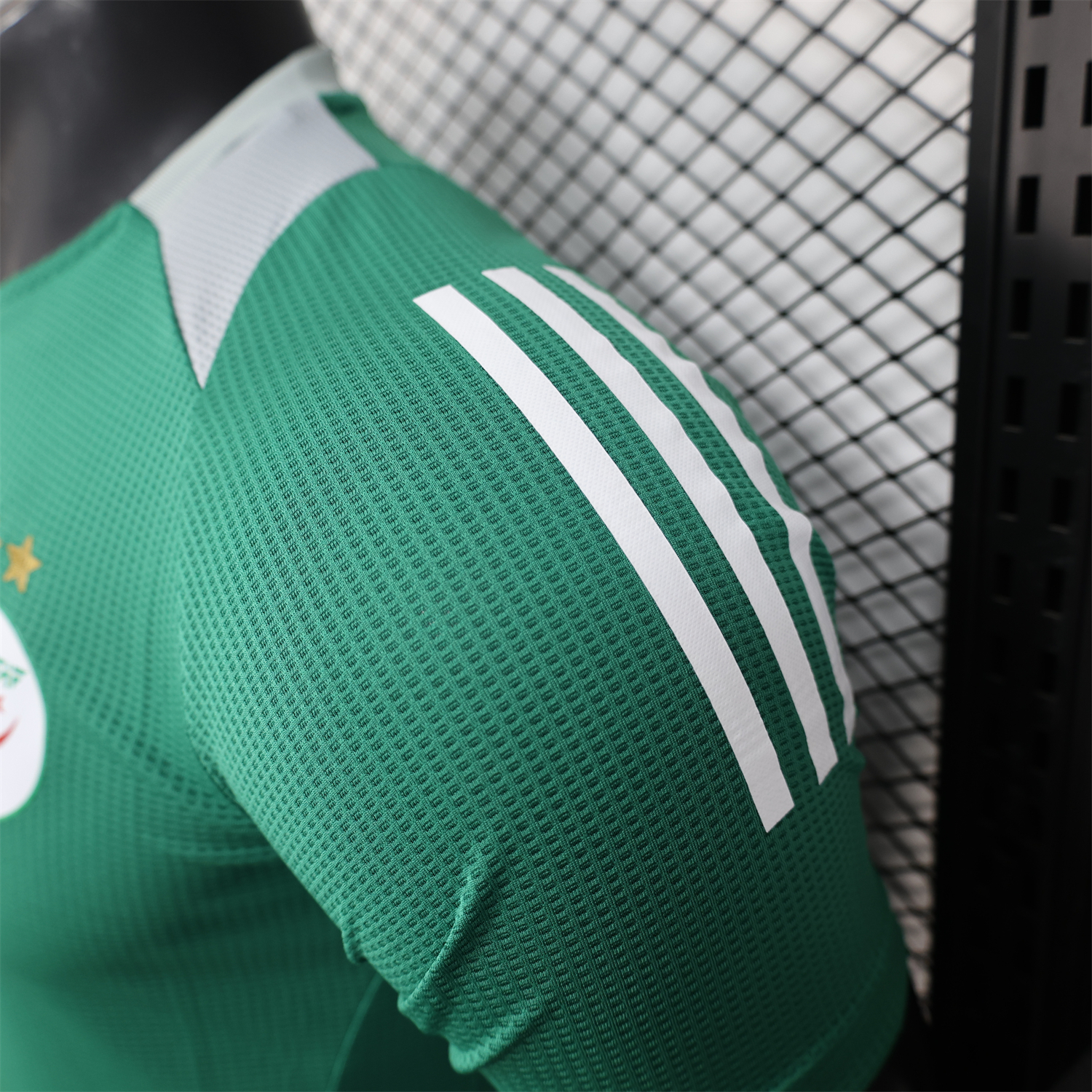 AlphaJersey-Algeria 25-26 Deep Green Special Edition Jersey - Player Version