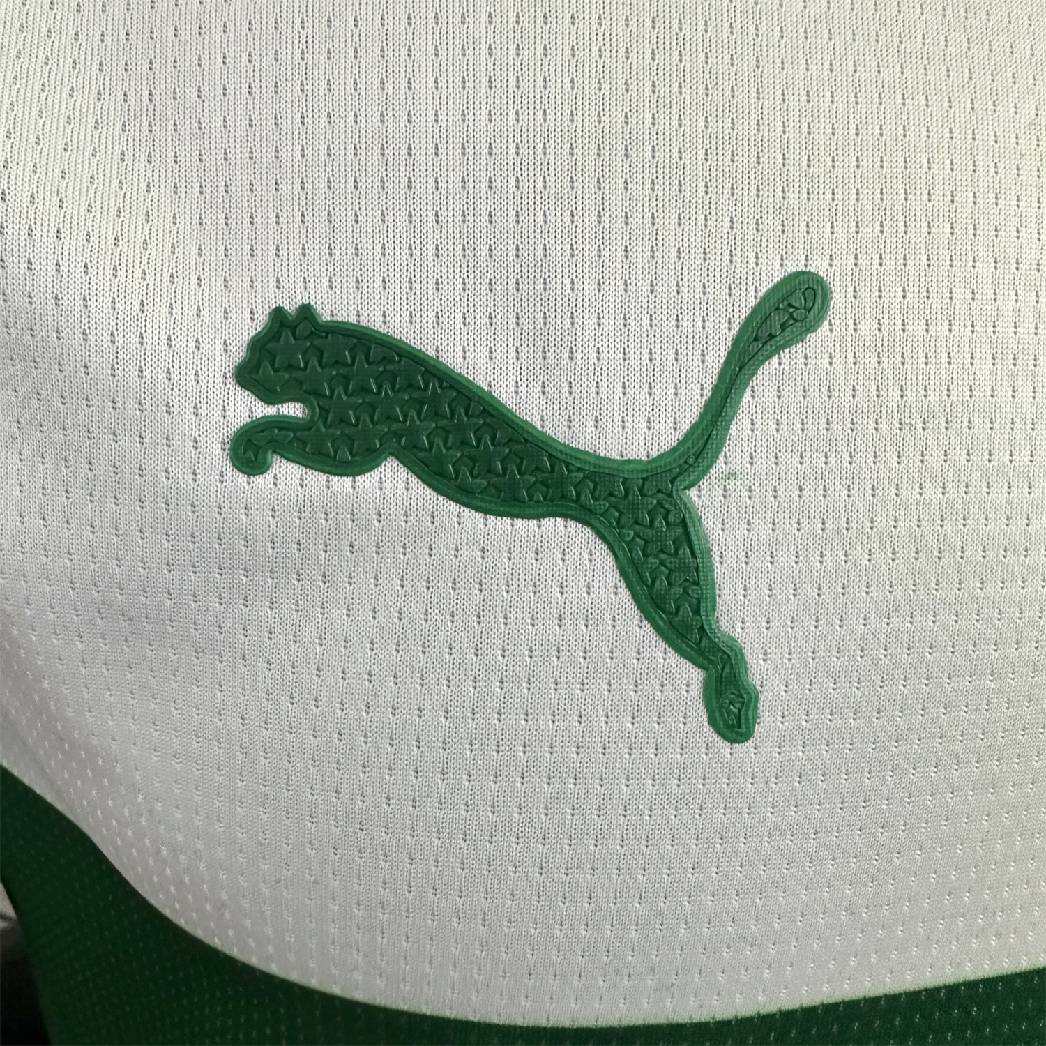 AlphaJersey-Palmeiras 25-26 Avanti Commemorative Jersey - Player Version