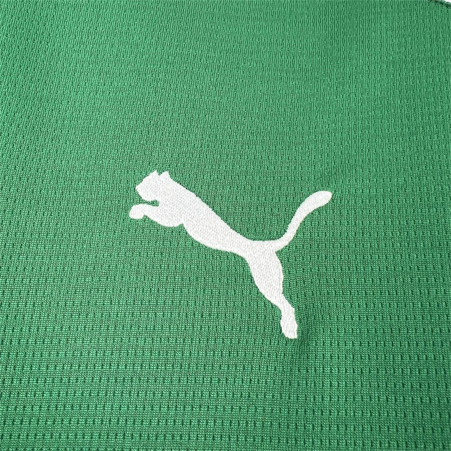 AlphaJersey-Palmeiras 26-27 Home Jersey With All Sponsors - Fans Version