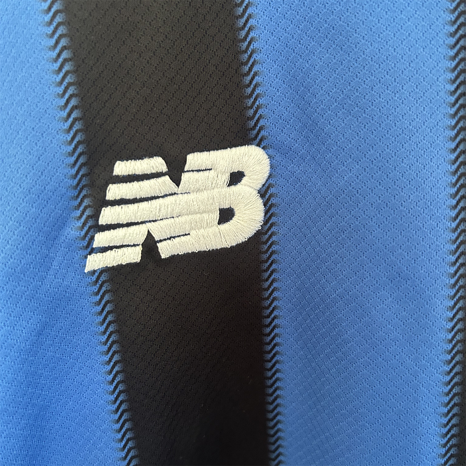 AlphaJersey-Atalanta 25-26 Home Unsponsored Jersey - Fans Version