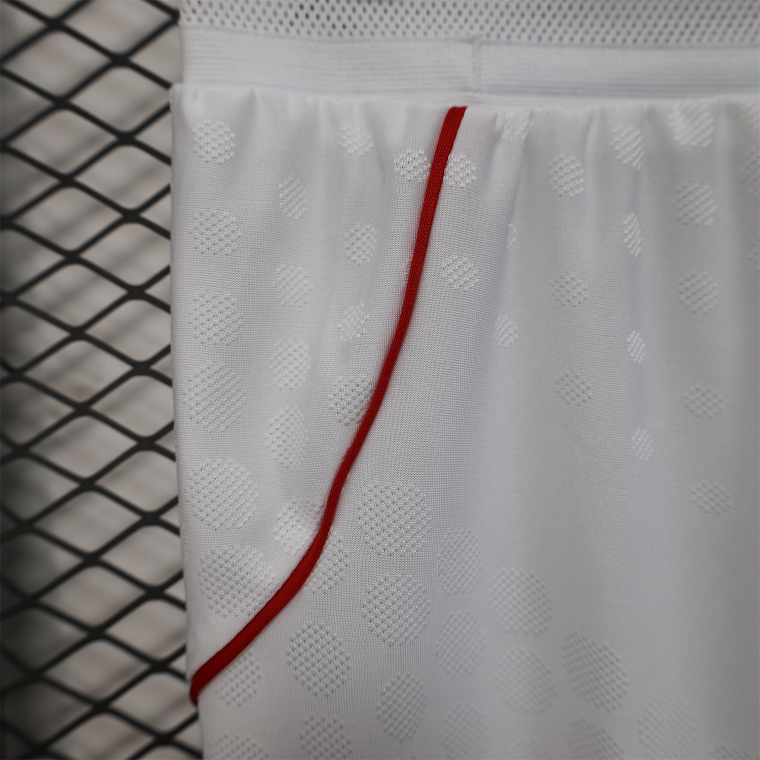 AlphaJersey-Ajax 2025 125-Year Anniversary Shorts - Player Version