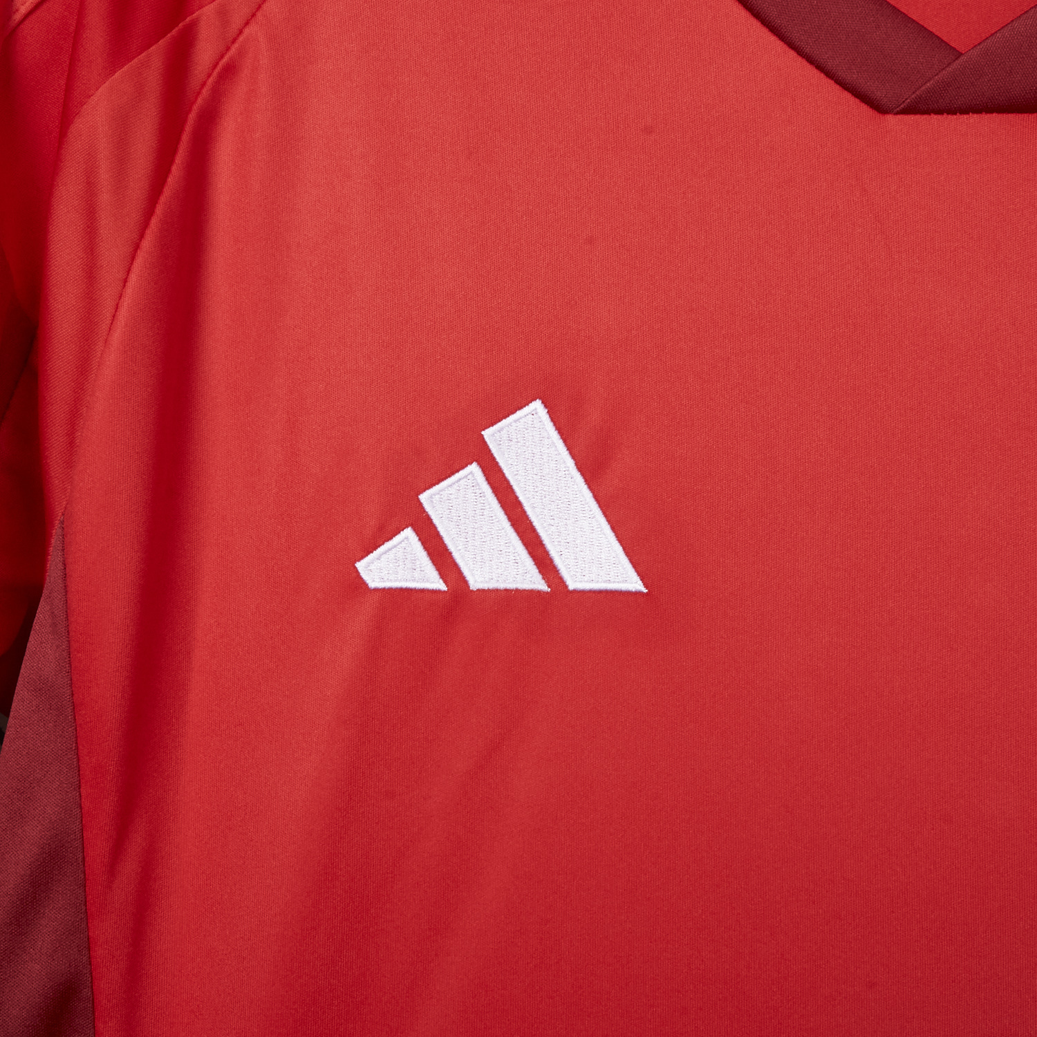 AlphaJersey-Toronto 25-26 Home Jersey - Fans Version