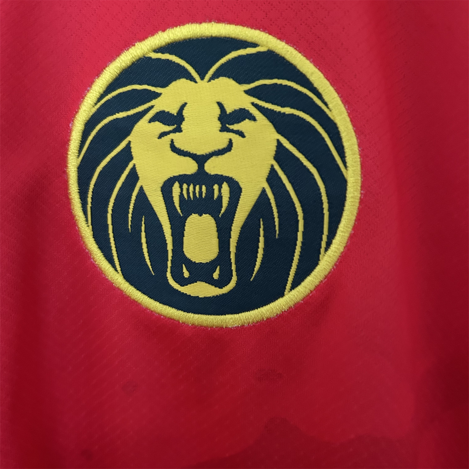 AlphaJersey-Cameroon 25-26 Away Jersey - Fans Version